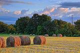 Bales At Sunrise_20195